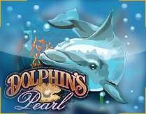dolphins pearl