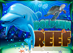 dolphins reef