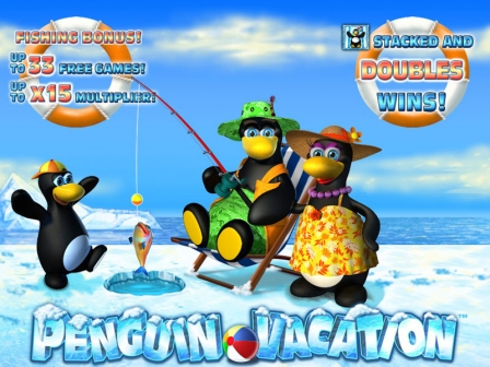 Penguin vacation