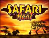 Safari heat